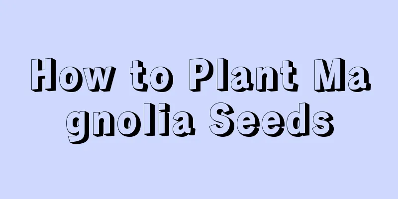 How to Plant Magnolia Seeds