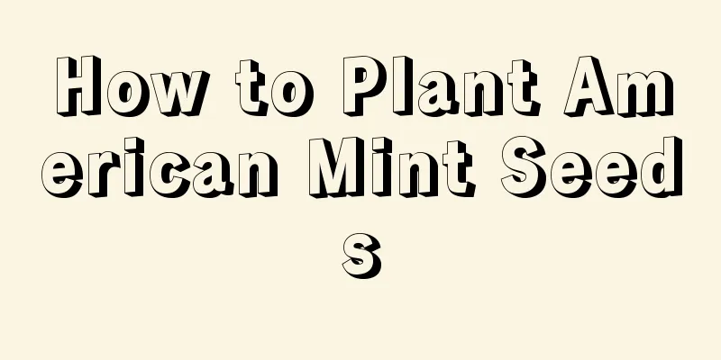 How to Plant American Mint Seeds