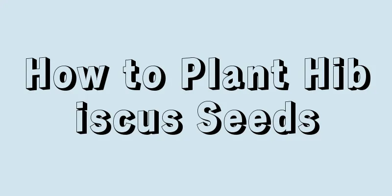 How to Plant Hibiscus Seeds