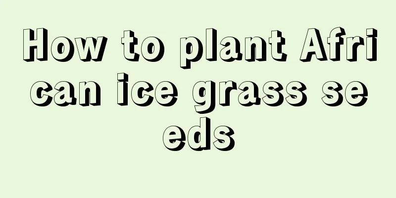 How to plant African ice grass seeds