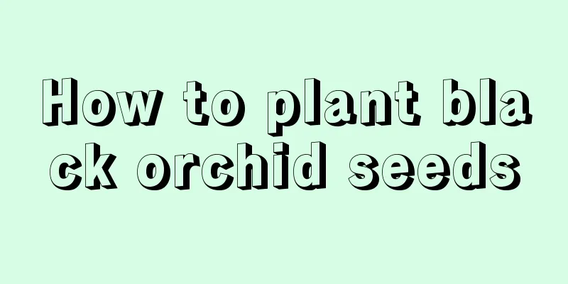 How to plant black orchid seeds