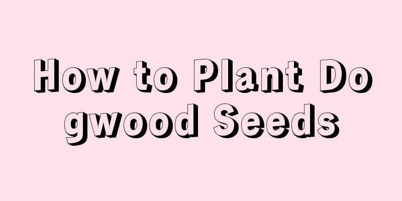 How to Plant Dogwood Seeds