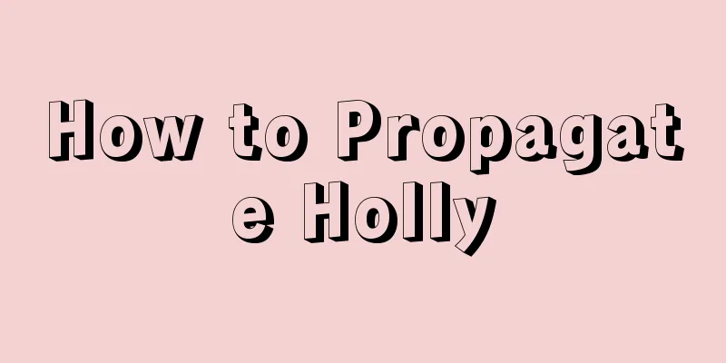 How to Propagate Holly