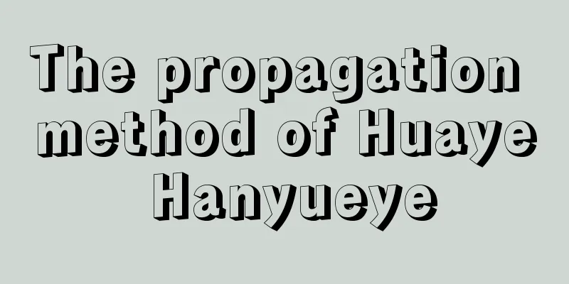 The propagation method of Huaye Hanyueye