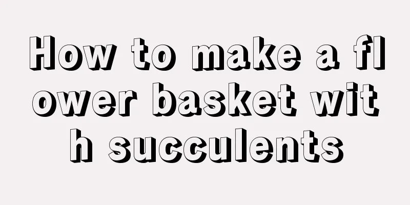 How to make a flower basket with succulents