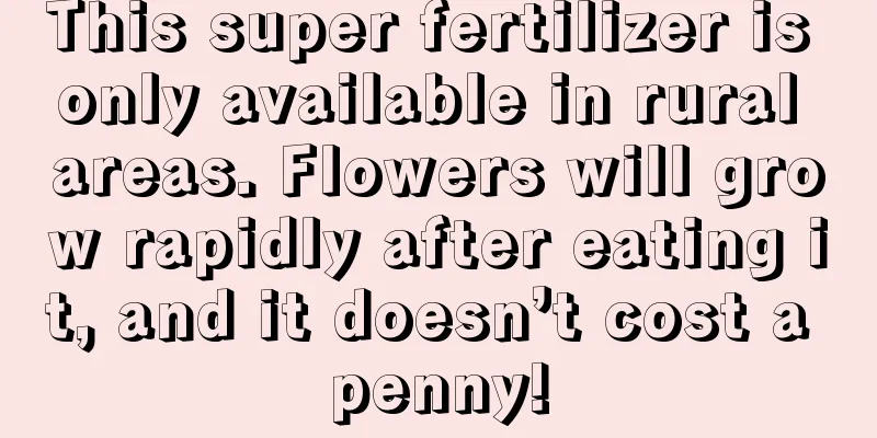 This super fertilizer is only available in rural areas. Flowers will grow rapidly after eating it, and it doesn’t cost a penny!