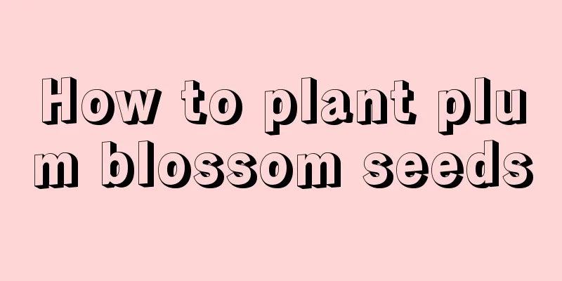 How to plant plum blossom seeds