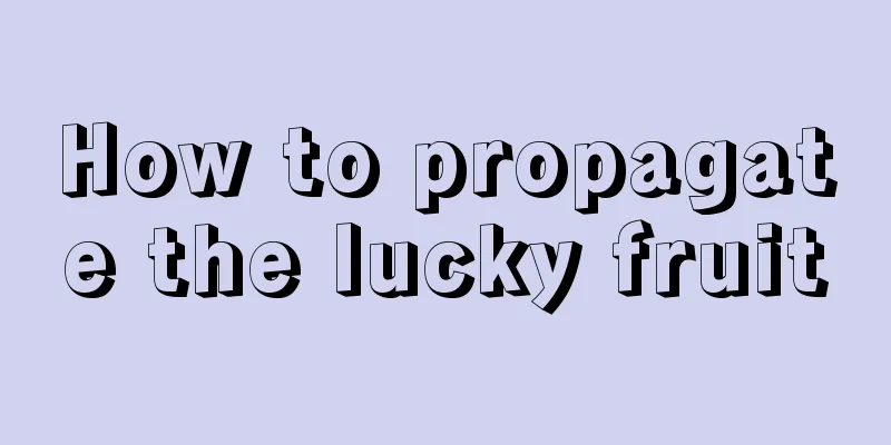 How to propagate the lucky fruit