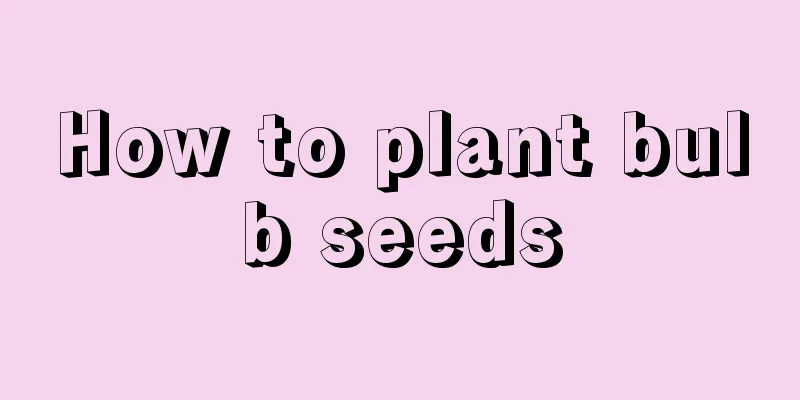 How to plant bulb seeds