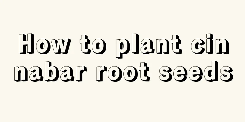 How to plant cinnabar root seeds