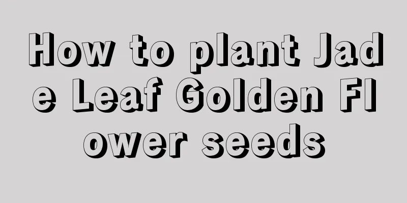 How to plant Jade Leaf Golden Flower seeds