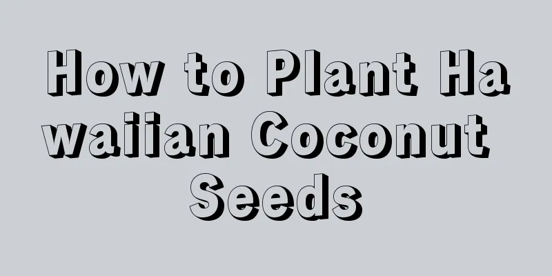 How to Plant Hawaiian Coconut Seeds