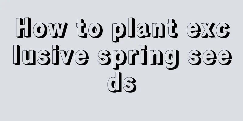 How to plant exclusive spring seeds