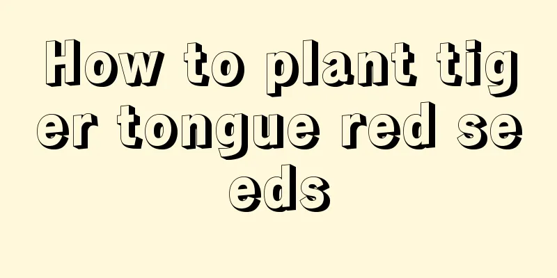 How to plant tiger tongue red seeds