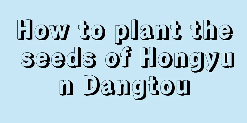 How to plant the seeds of Hongyun Dangtou