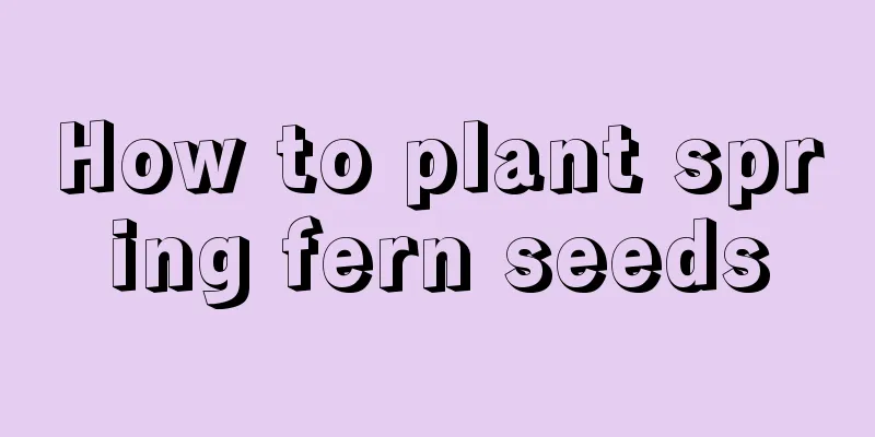 How to plant spring fern seeds