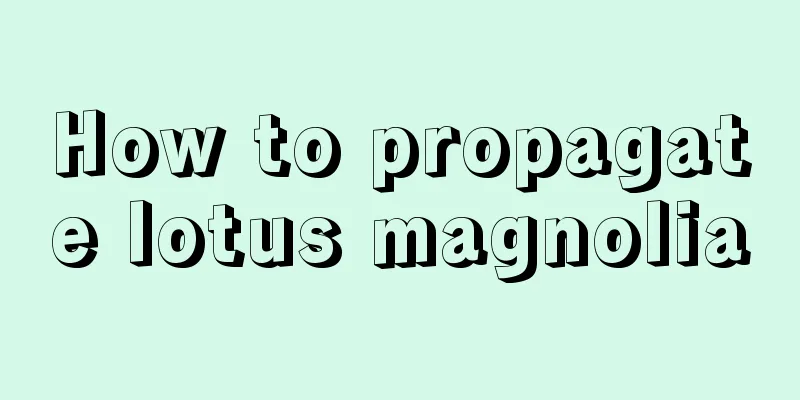 How to propagate lotus magnolia