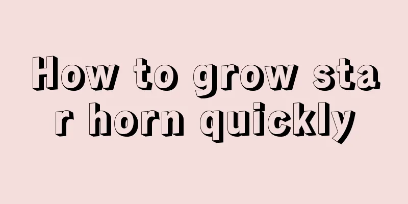 How to grow star horn quickly