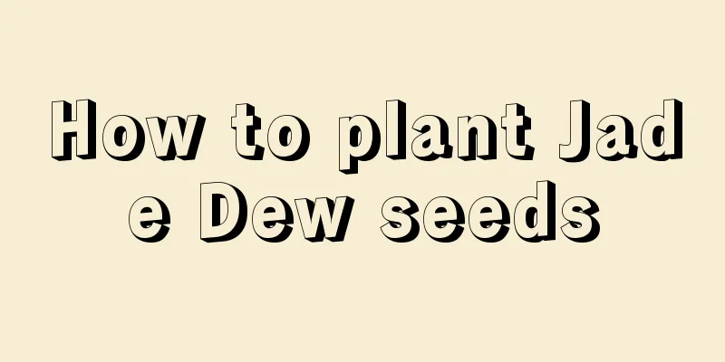 How to plant Jade Dew seeds