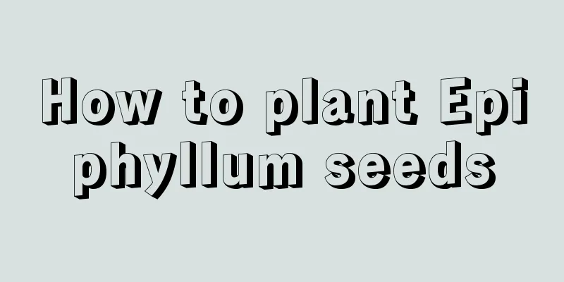 How to plant Epiphyllum seeds