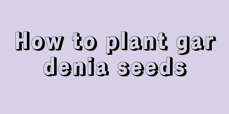 How to plant gardenia seeds