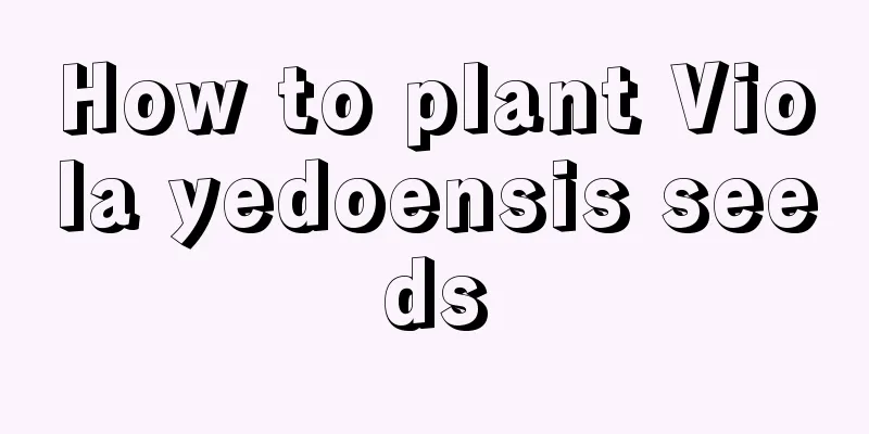 How to plant Viola yedoensis seeds