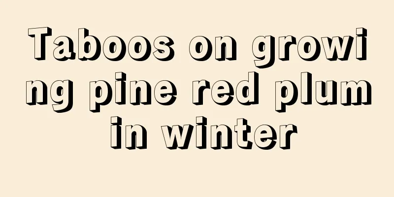 Taboos on growing pine red plum in winter