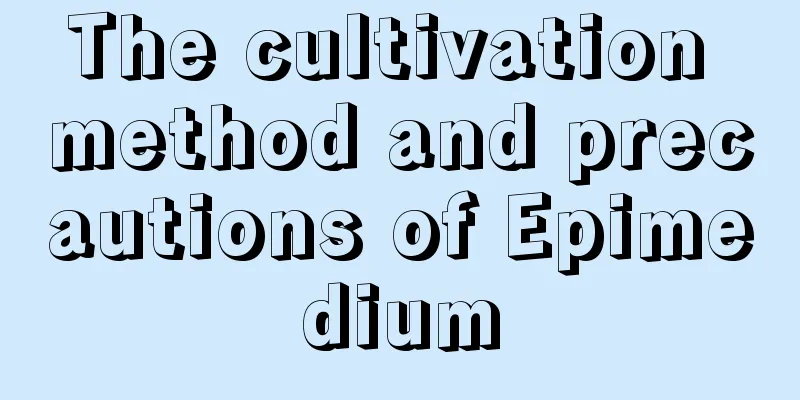 The cultivation method and precautions of Epimedium