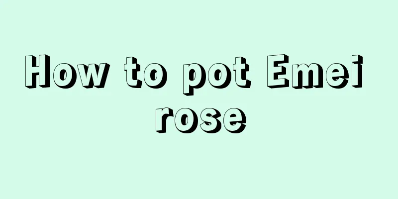 How to pot Emei rose