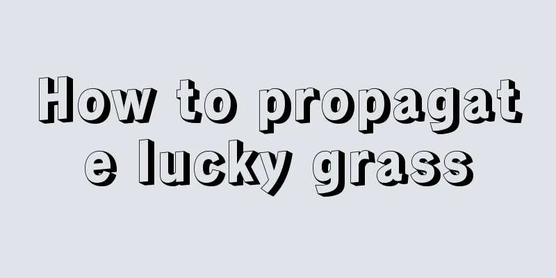 How to propagate lucky grass