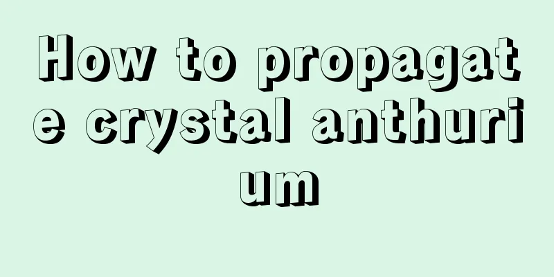 How to propagate crystal anthurium