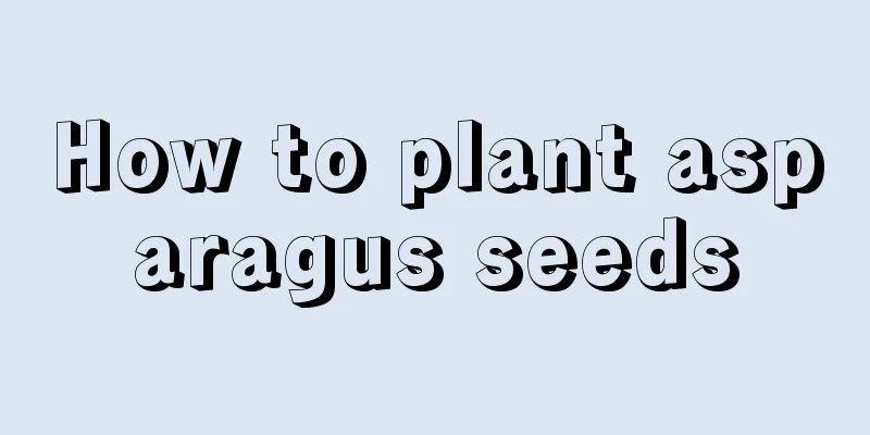 How to plant asparagus seeds