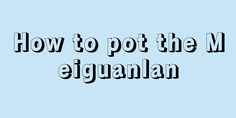 How to pot the Meiguanlan