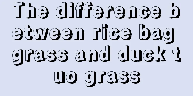 The difference between rice bag grass and duck tuo grass