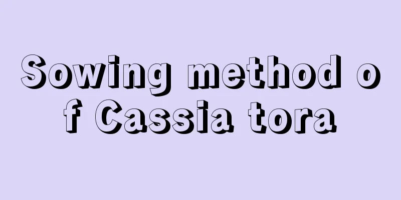 Sowing method of Cassia tora