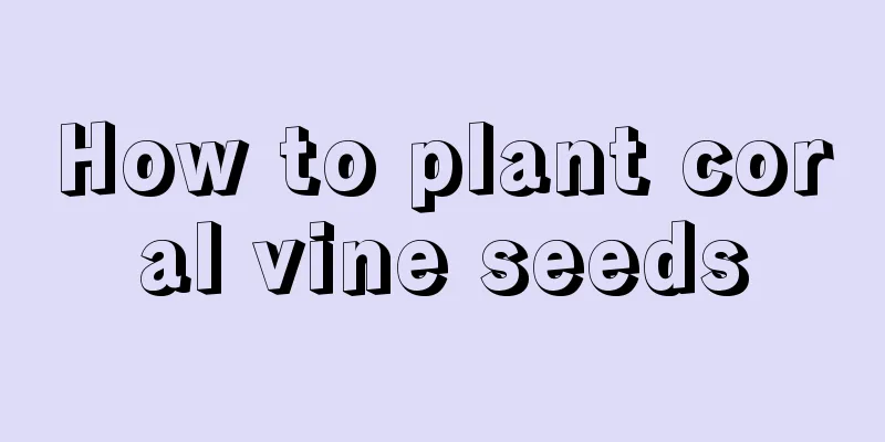 How to plant coral vine seeds