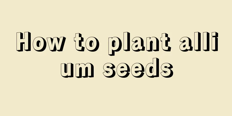 How to plant allium seeds