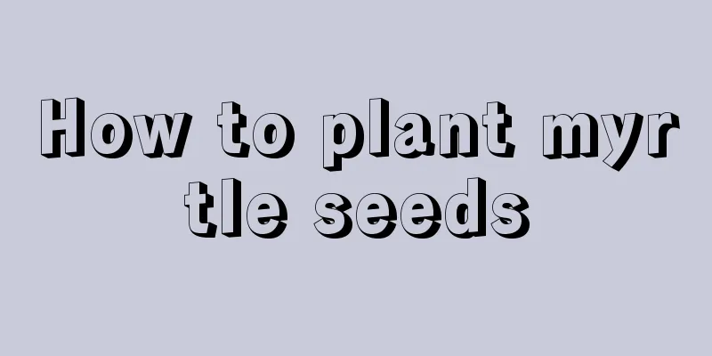 How to plant myrtle seeds