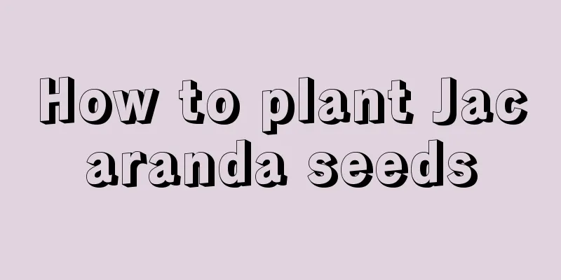 How to plant Jacaranda seeds