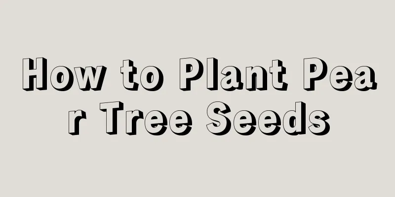 How to Plant Pear Tree Seeds