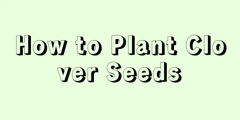 How to Plant Clover Seeds