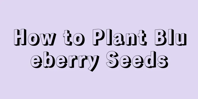 How to Plant Blueberry Seeds