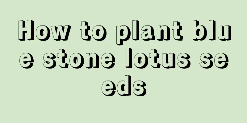 How to plant blue stone lotus seeds