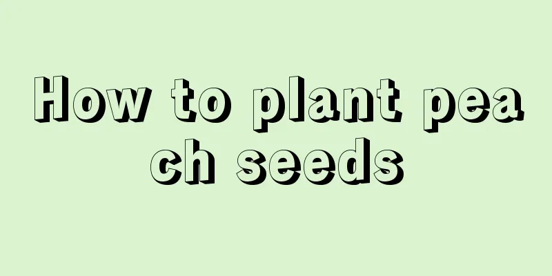 How to plant peach seeds