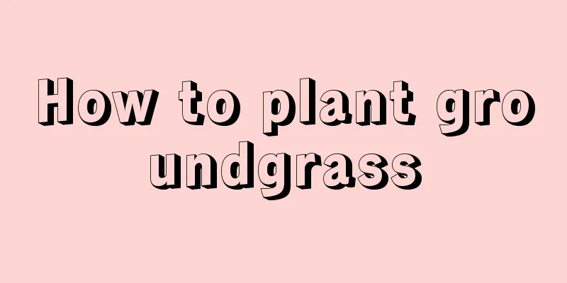 How to plant groundgrass