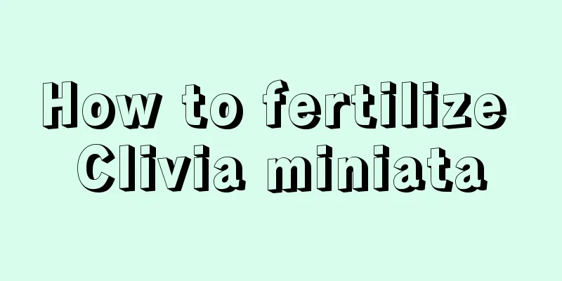 How to fertilize Clivia miniata