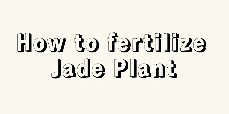 How to fertilize Jade Plant