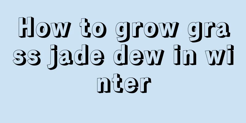 How to grow grass jade dew in winter