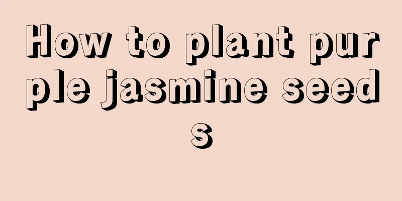 How to plant purple jasmine seeds