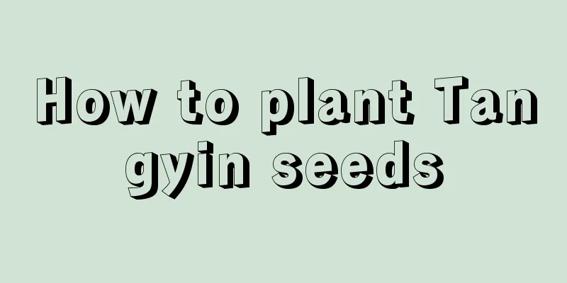 How to plant Tangyin seeds